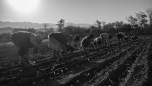 Mujeres-guaraníes-Bolivia-sequía-huertos-comunales