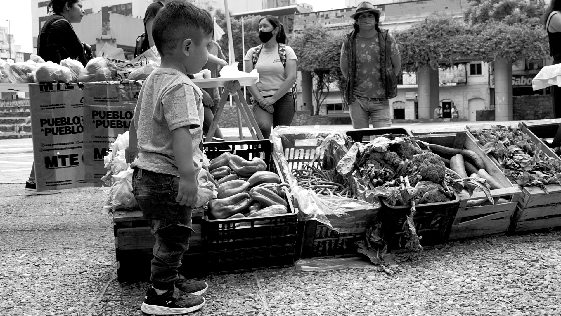 fotogalería-Feriazo-MTE-agricultura-familiar-economía-popular-9