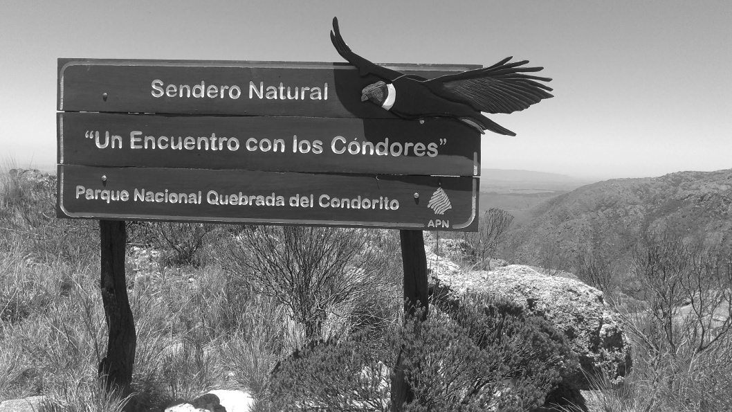 Parque-Nacional-Quebrada- Condorito-traslasierra