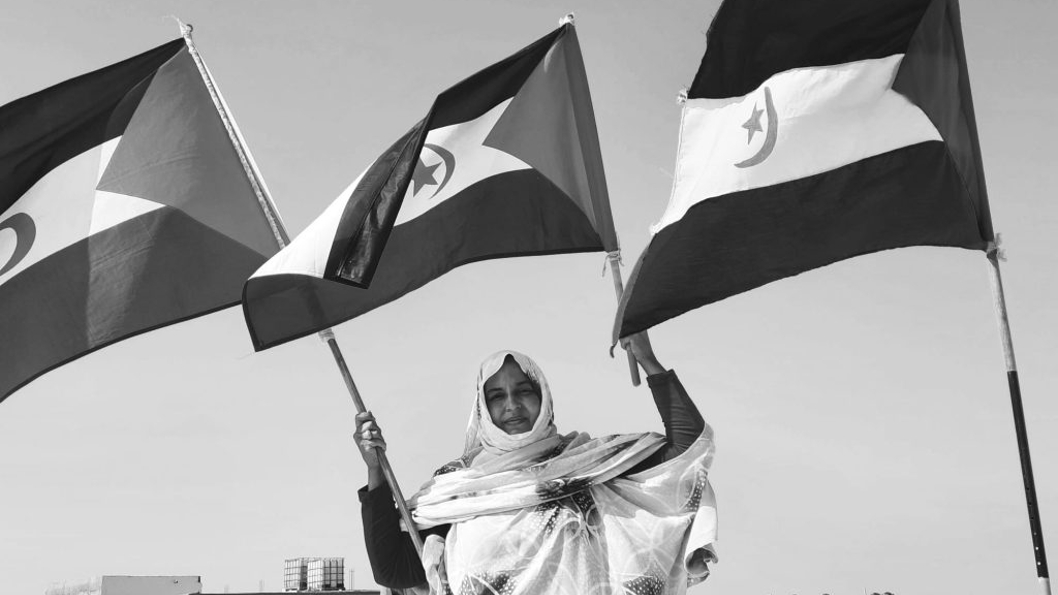 Sahara Sultana Khaya banderas libertad la-tinta