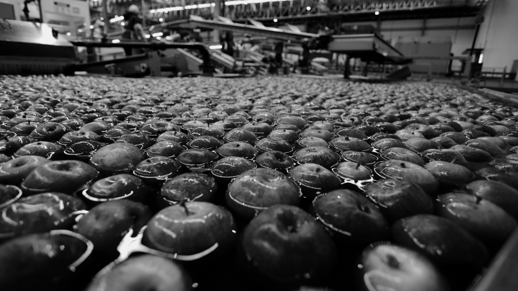 manzanas-alimentación-ultraprocesados-fruta-agronegocio-9