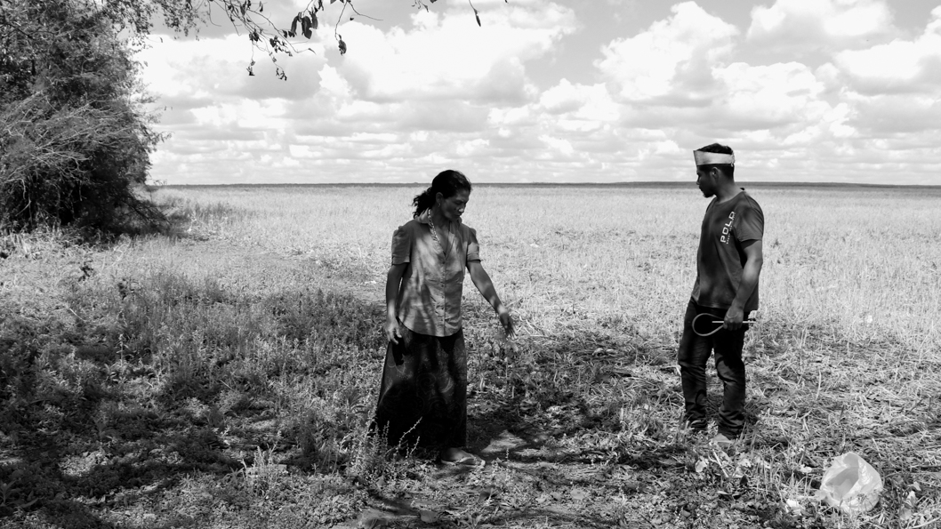 Paraguay-comunidades-indígenas-guaraní-monocultivo-territorio-7