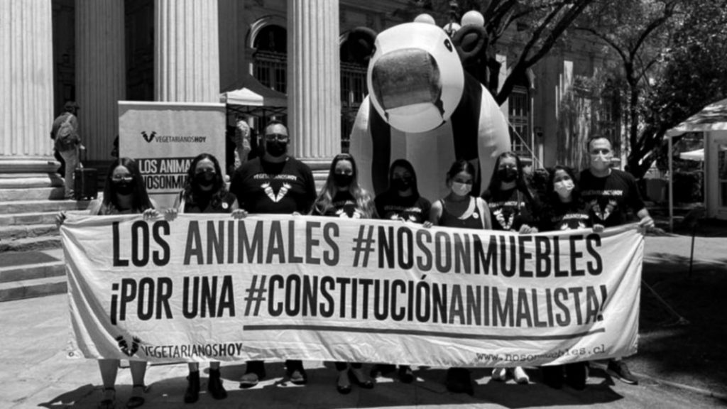 Reconocimiento-constitucional-animales-no-humanos-Chile
