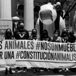 Reconocimiento constitucional a los animales no humanos en Chile