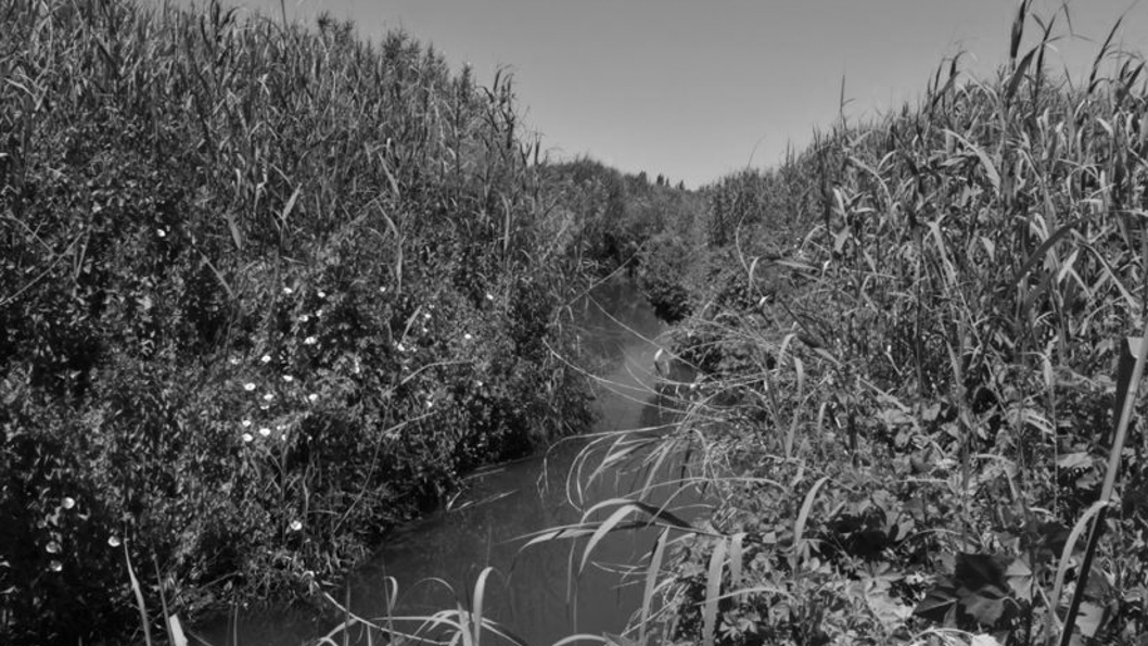 agua-Mendoza-crisis-climática-sequía-escasez-hídrica-comunidad-san-jose-Lavalle-5