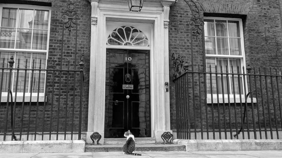 Reino Unido Downing Street 10 gato la-tinta