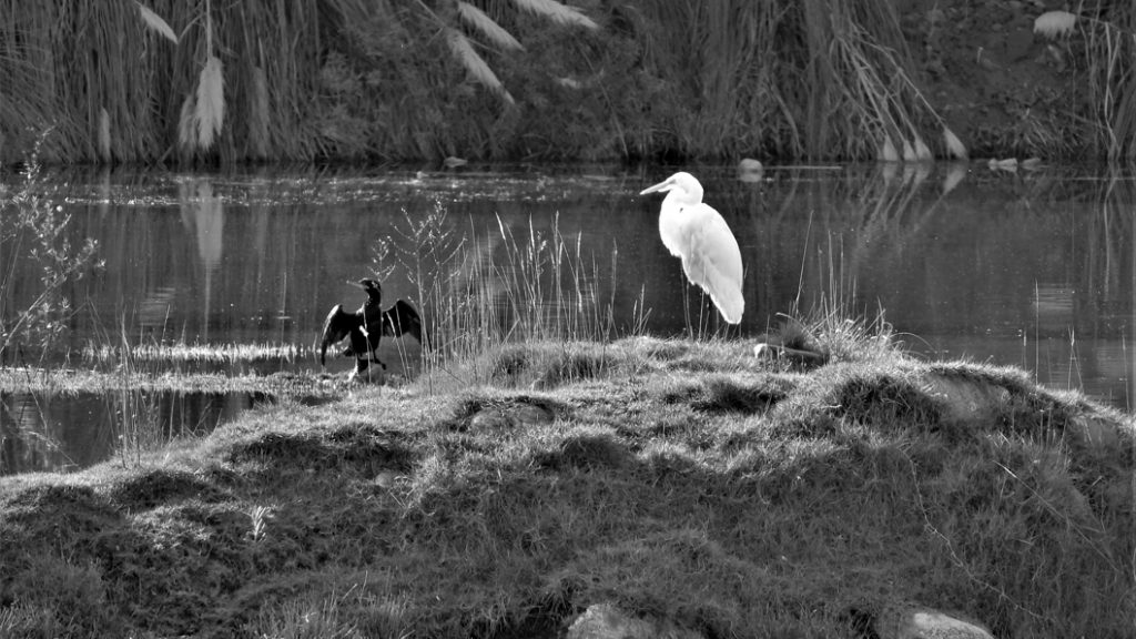 Reserva-Natural-San-Martín-2