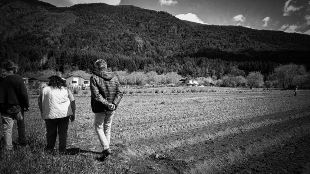 Patagonia-huertas-mercados-productores-agricultura-familiar-4