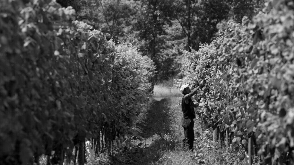 La-Rioja-agronegocio-campo-agroecologica-alimentacion-2
