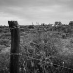 Reserva Natural Urbana San Martín: “La situación es desesperante”