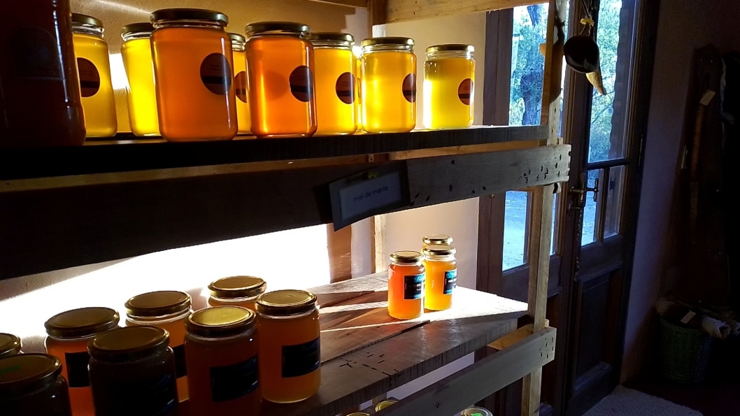 zanganos-miel-apicultura-cooperativa