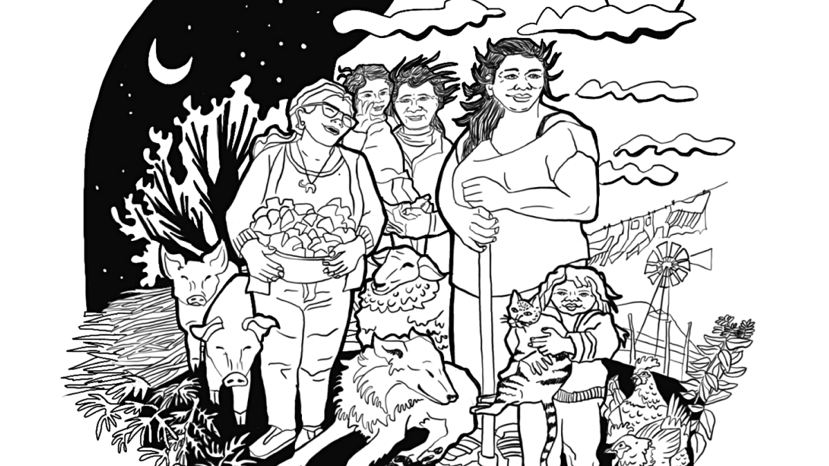 Mujeres campesinas de la Pampa de Pocho: hacia una transición energética justa, situada y feminista