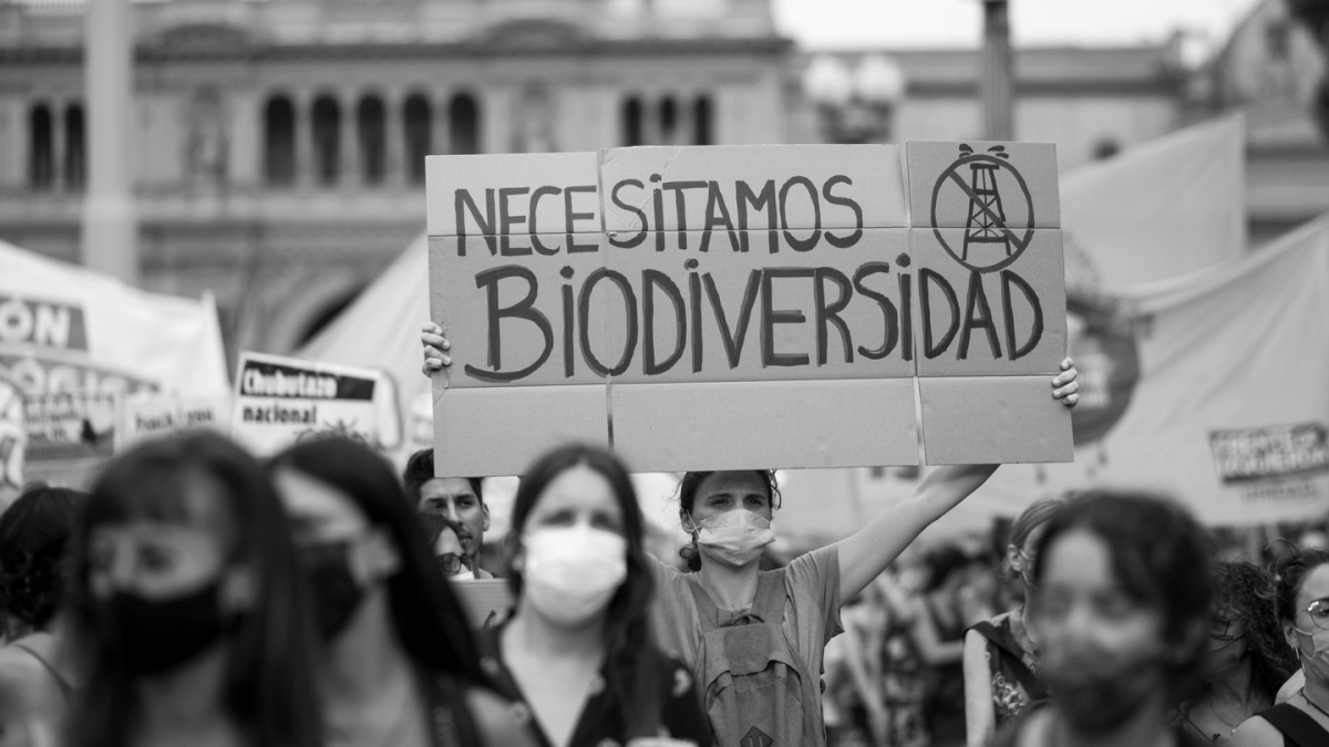 «Acuerdo de Escazú para comunidades»: herramientas para hacer efectivos los derechos ambientales