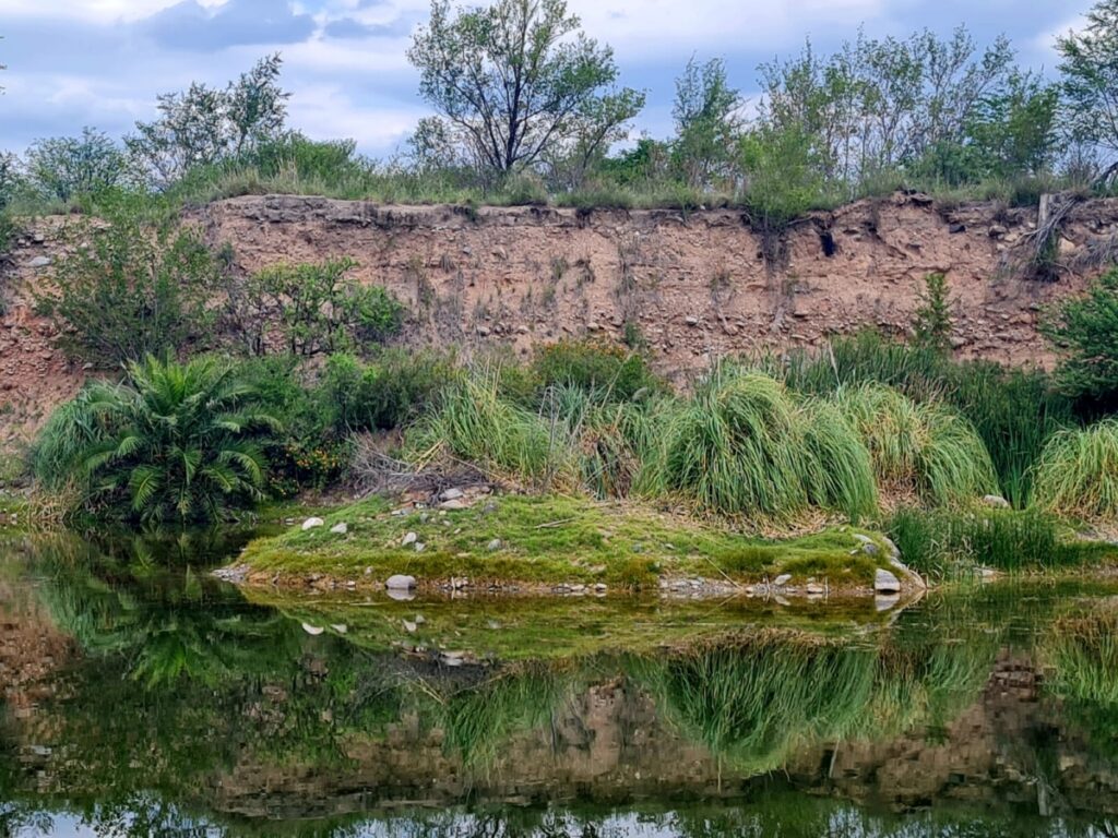 reserva-natural-san-martin