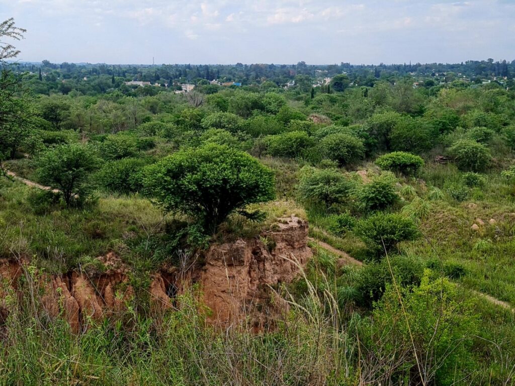 reserva-natural-san-martin