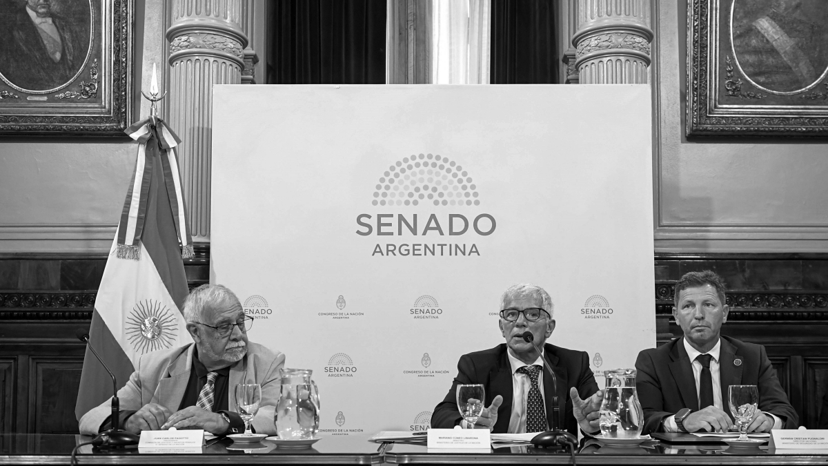 cuneo-libarona-senado-falsas-denuncias-violencia-genero