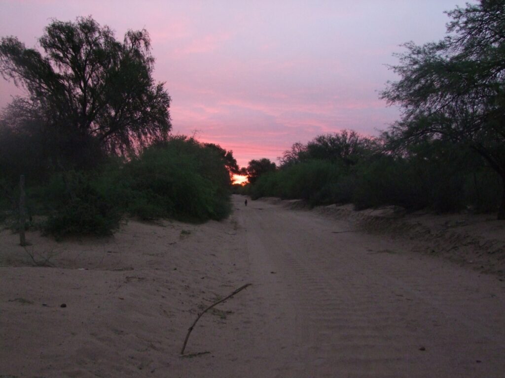 costa-salinas-ambargasta