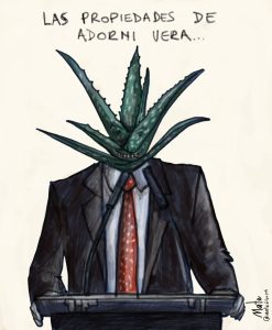 Adorni Vera - Propiedades - Mate