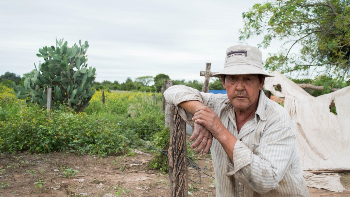 Monitor-defensoras-ambientales3