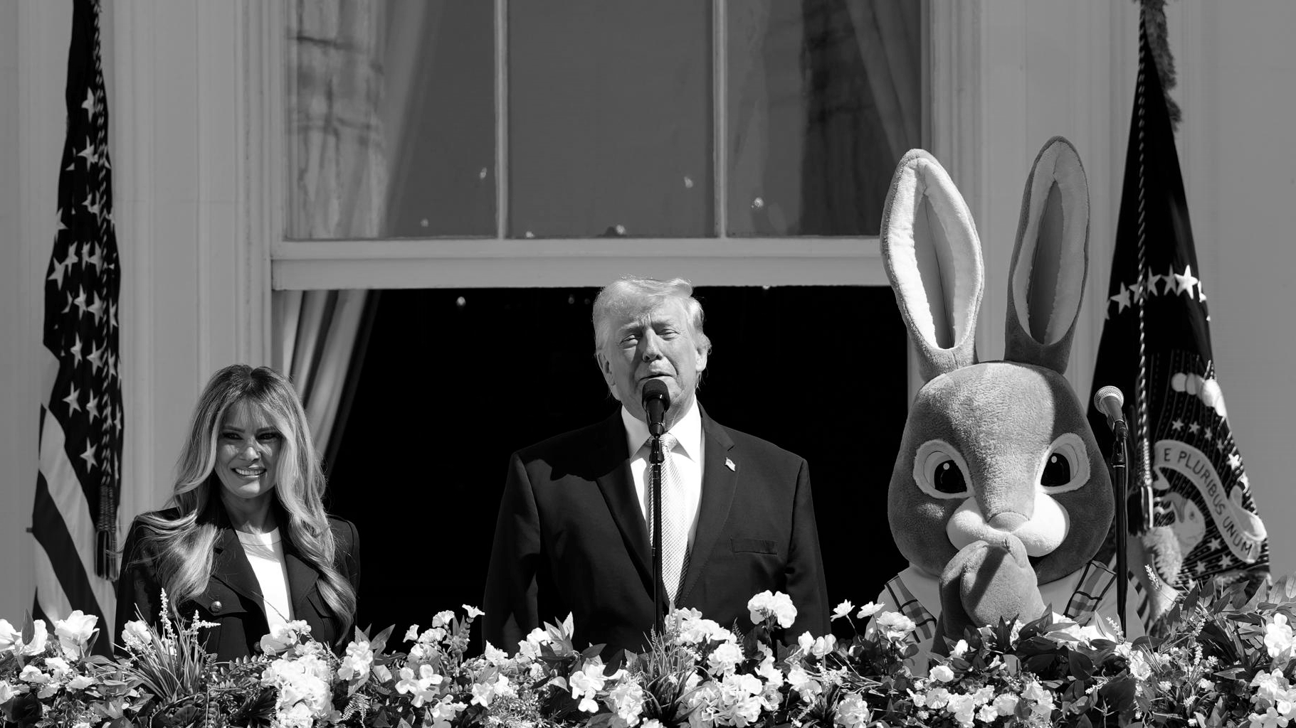 trump-conejo-pascua-portada